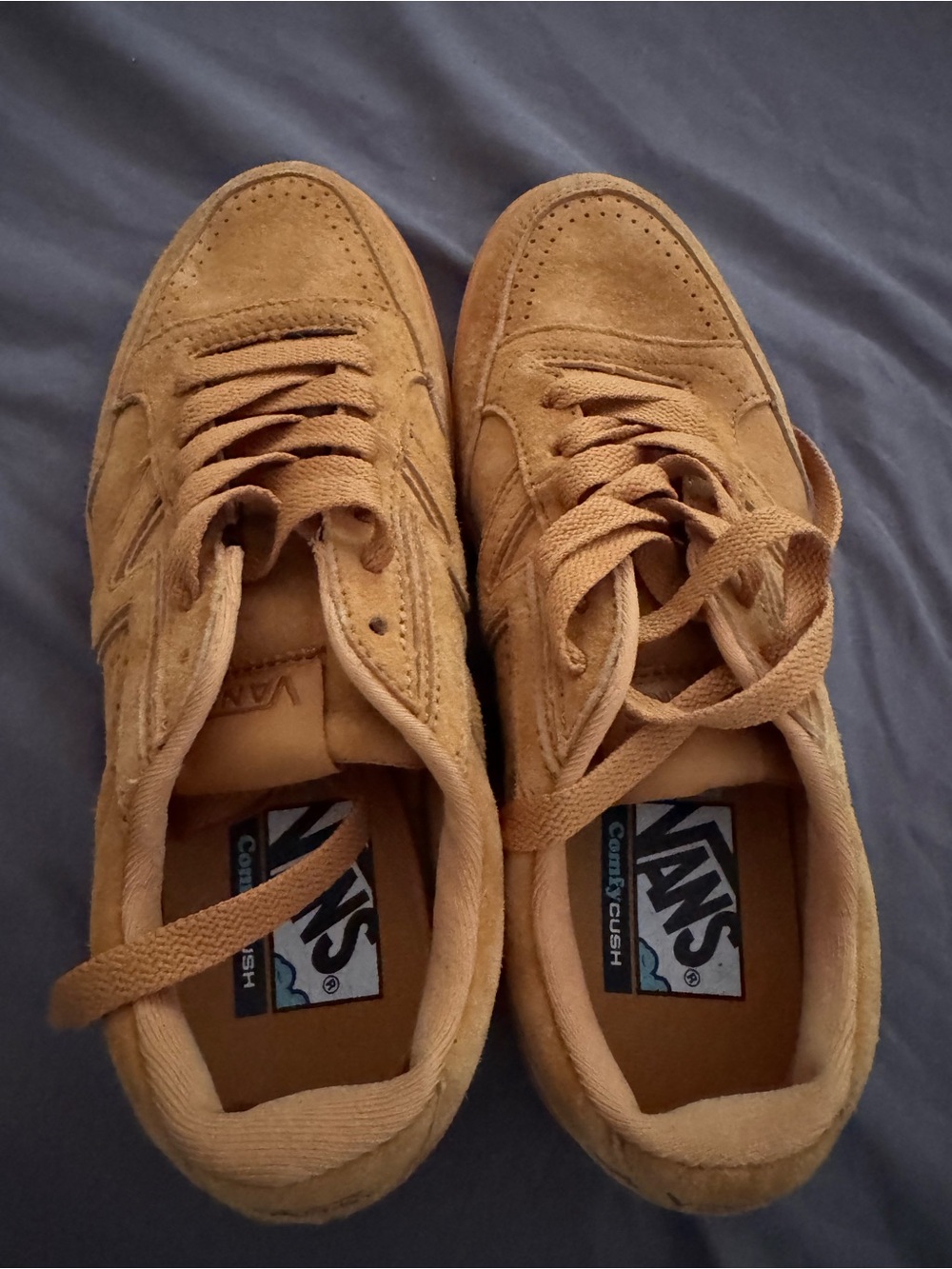 Vans Men's Suede Low-Top Sneakers in Brown